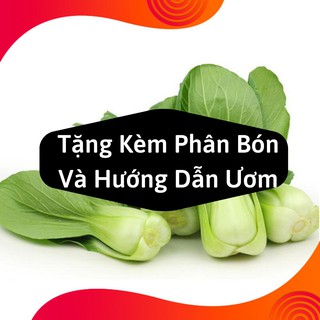 Combo 2 Gói Hạt Giống Cải Chíp
