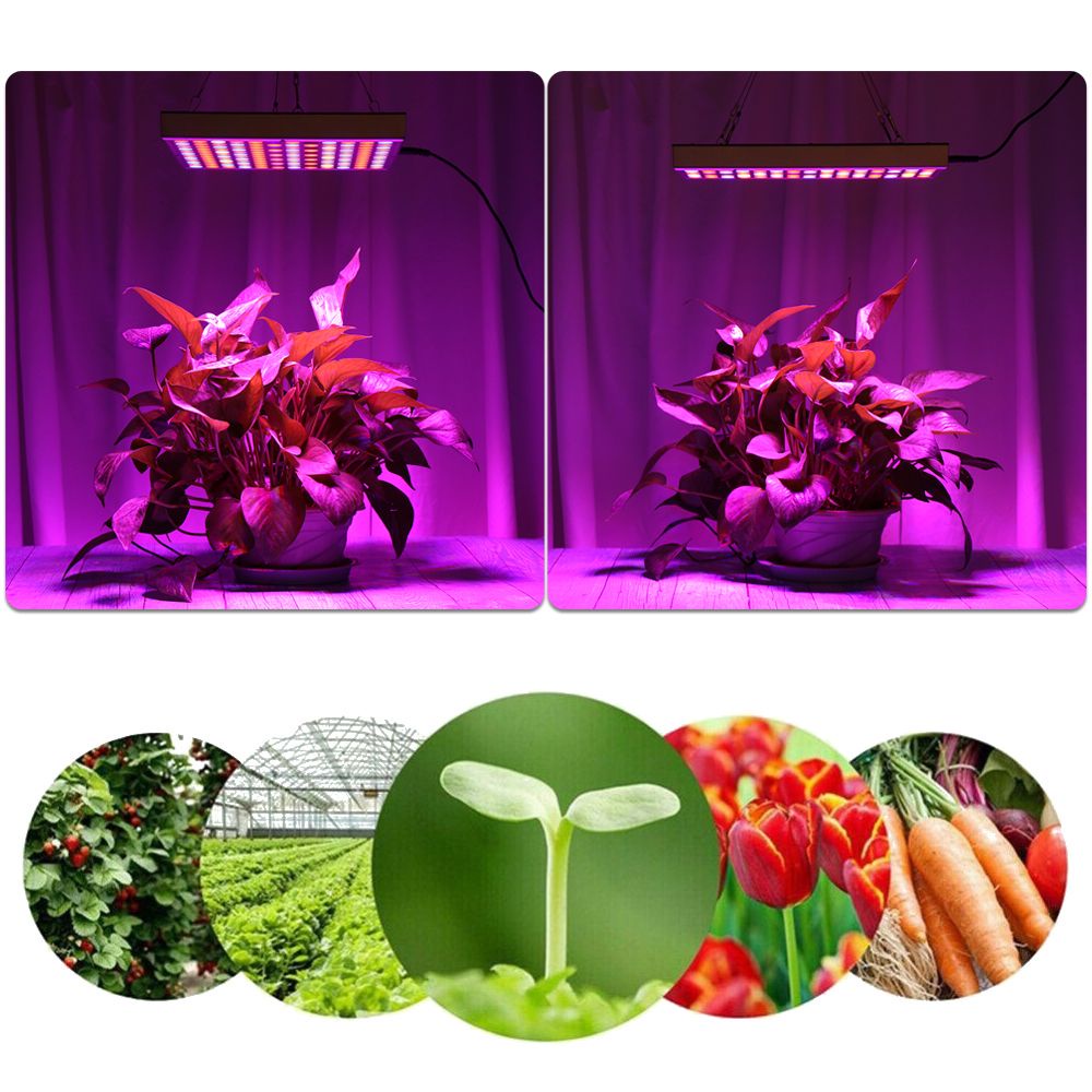 Đèn led trồng cây thủy canh trong nhà 25W 45W