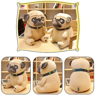 Chó Bông Mặt xệ Pug