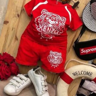 Bộ hổ cotton bé trai