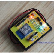 Module Wifi ESP8266 ESP-12 (Full)