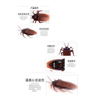 Gián Điều Khiển Từ Xa
