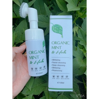 Sữa rửa mặt bạc hà organic