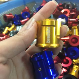 CHỤP GIÒ ĐẠP BREMBO