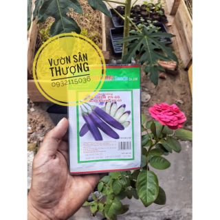 (Hạt giống) hạt cà tím 1 gói (2g)