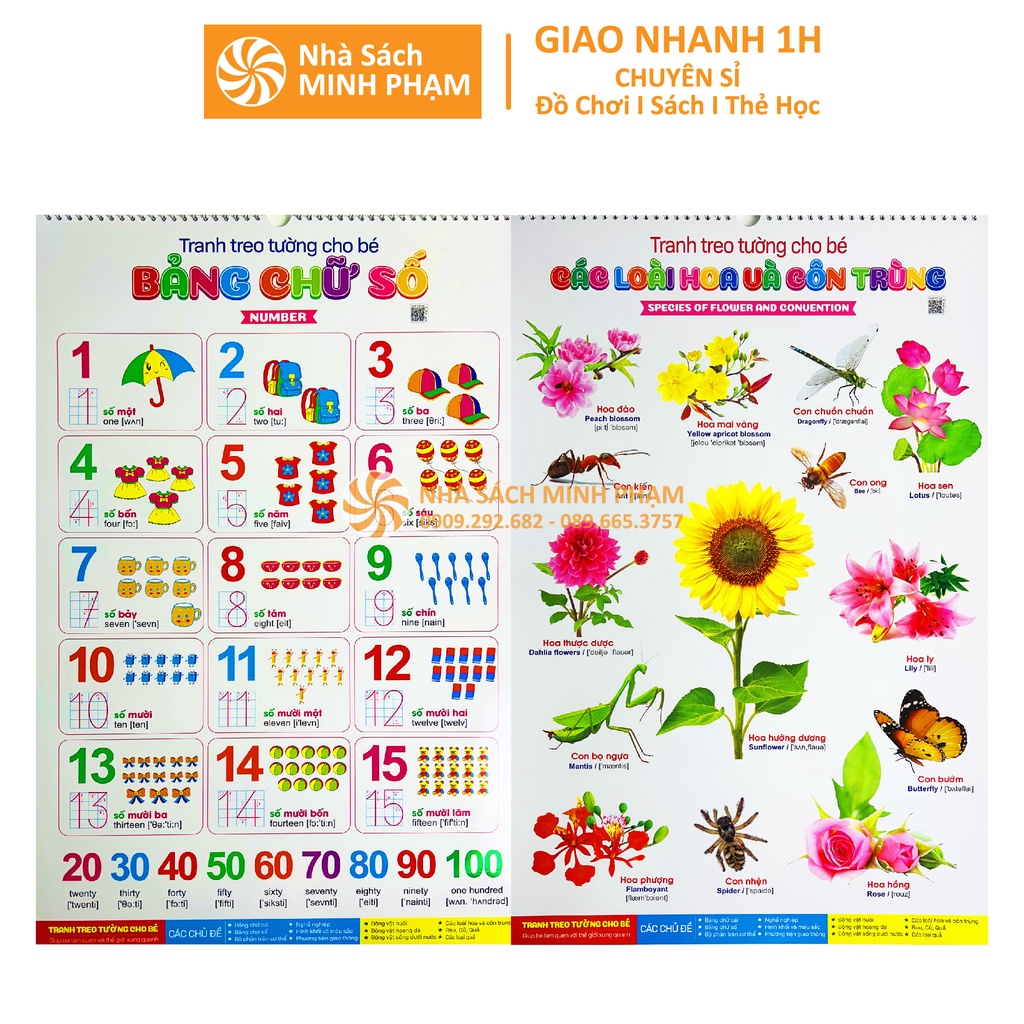 Sách - Bộ tranh treo tường song ngữ Anh Việt 14 chủ đề cho bé