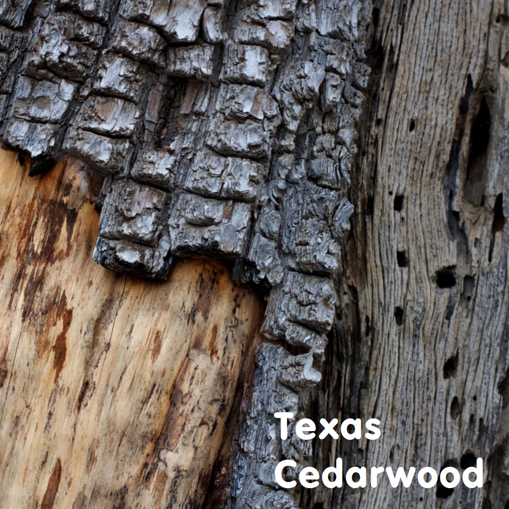 Tinh dầu gỗ Tuyết Tùng Texas Cedarwood Essential Oil