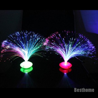 Đèn Led Sợi Quang Học Đổi Màu Trang Trí Nhà Cửa