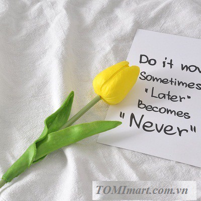 Đạo cụ chụp hình - Hoa tulip cao cấp