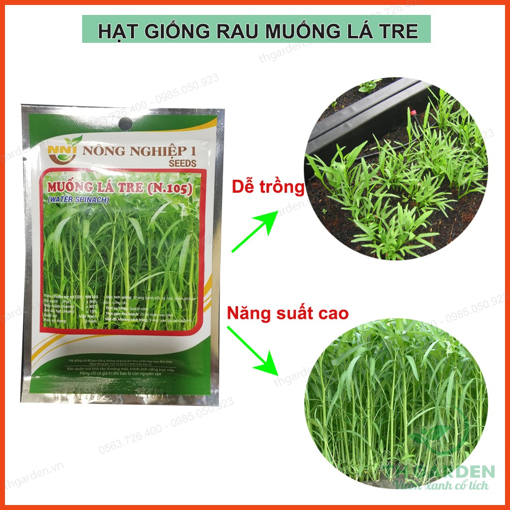 Hạt Giống Rau Muống Lá Tre - 50 Gram - Dễ Trồng, Ăn Quanh Năm - Học Viện Nông Nghiệp Việt Nam