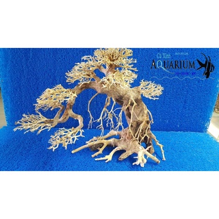 Cây Bonsai cho hồ cá size lớn