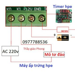 5 timer mạch trần hpe