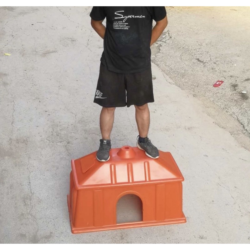 Lồng úm lợn con heo con theo mẹ