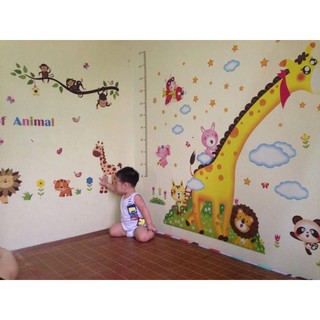decal dán tường đo chiều cao