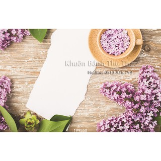 Phông nền 3D chụp ảnh sản phẩm 19955
