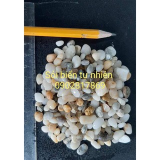 Sỏi biển tự nhiên 3 màu  trang trí