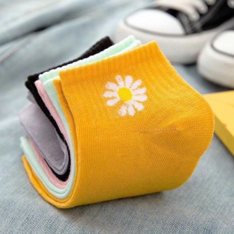 Set 10 Đôi Tất Cotton Hoa Cúc Siêu Hot Túi Rút