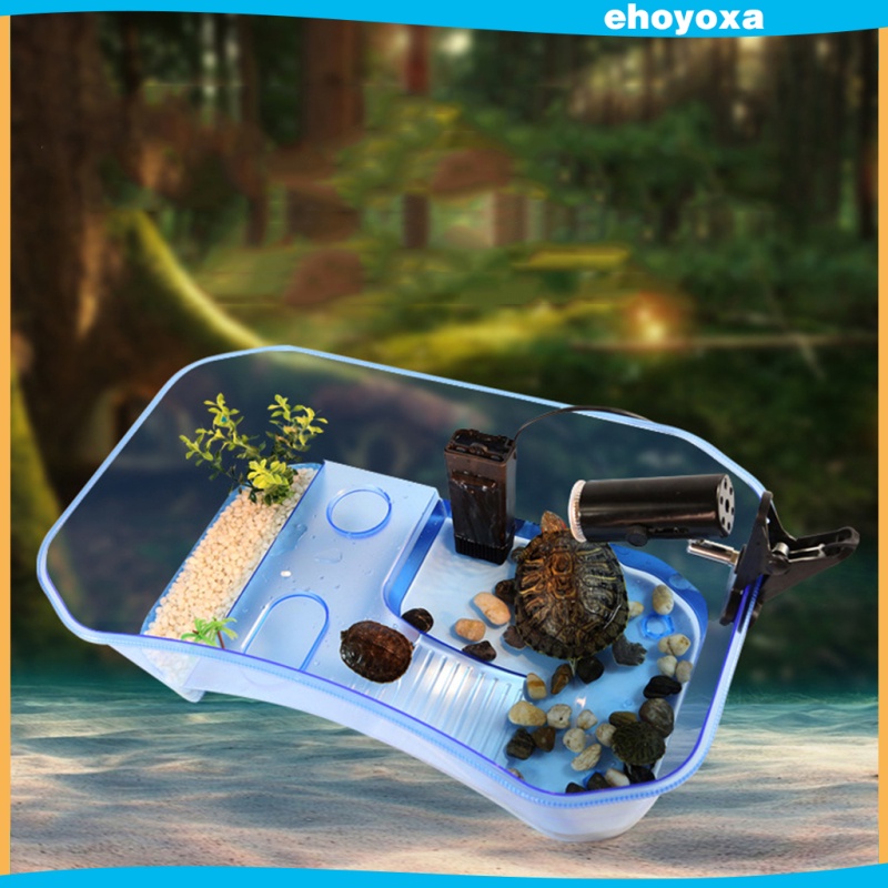 Hộp Nuôi Bò Sát / Bò Sát / Thằn Lằn / Bò Sát / Bò Sát Bằng Nhựa Hình Cây Dừa