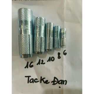 Tắc kê đạn 6 đến 16 li