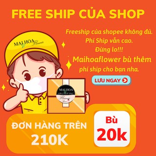 Voucher miễn phí vận chuyển của maihoaflower