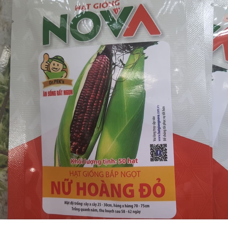 Hạt giống ngô ngọt đỏ - nữ hoàng đỏ - 1 gói 50 hạt