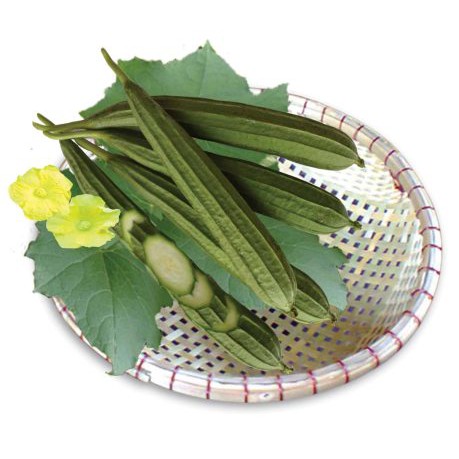 Hạt Giống Mướp Khía Thái Lan Lai F1 (gói 10 hạt)