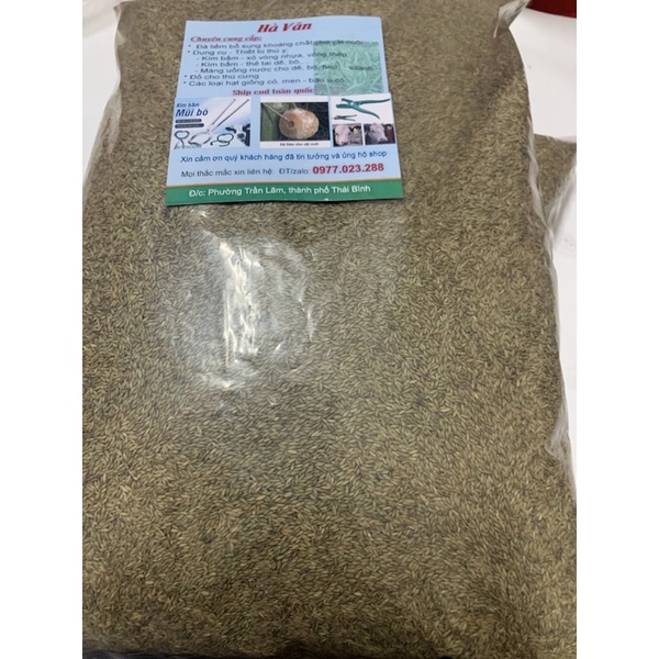 100g Cỏ sả lá lớn Mombasa ghine cỏ chăn nuôi gói
