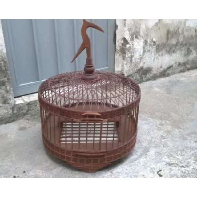 Lồng thổ bg