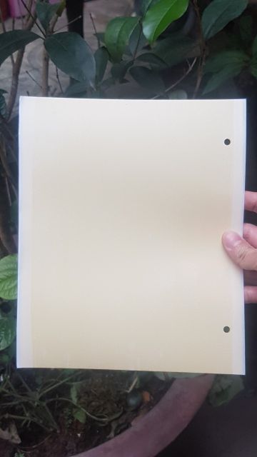 50 BẪY DÍNH CÔN TRÙNG 2 MẶT 30x25cm