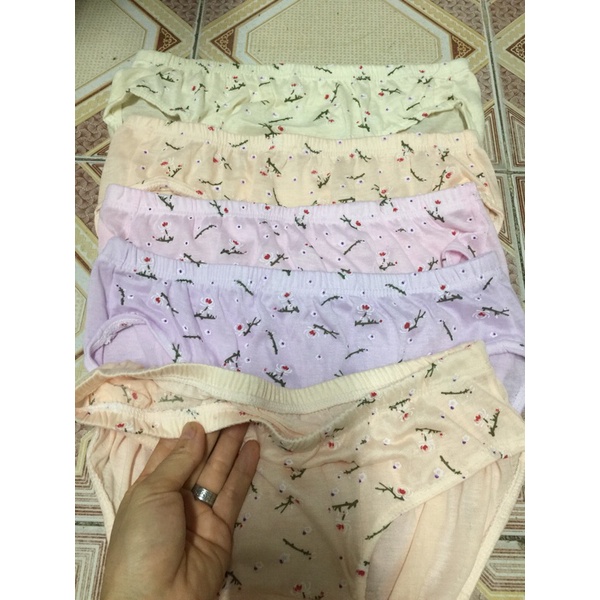 10 quần lót cotton đông xuân mông to cho người 75kg,quần lót bà già
