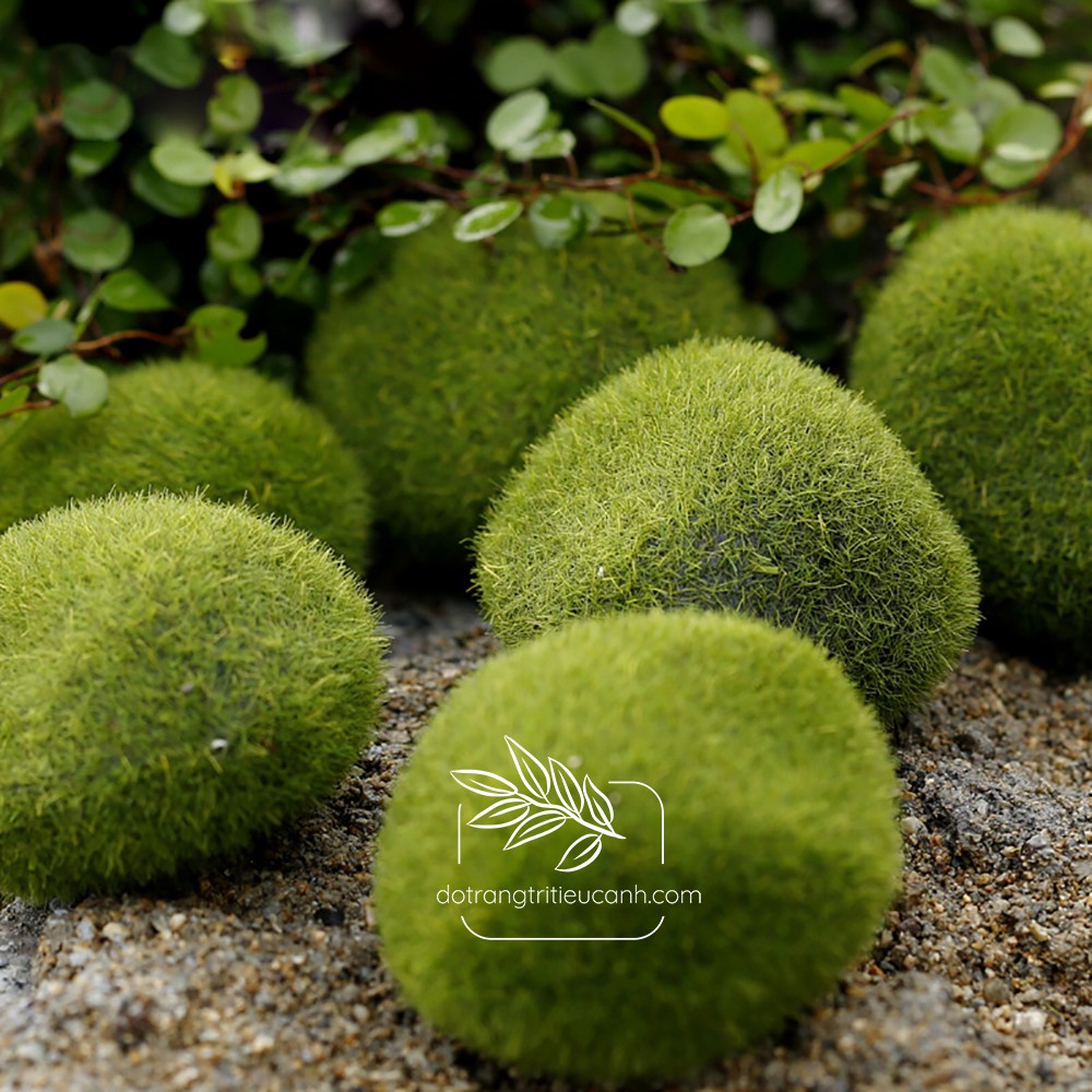Khối rêu cỏ mịn - rêu trang trí, phụ kiện trang trí