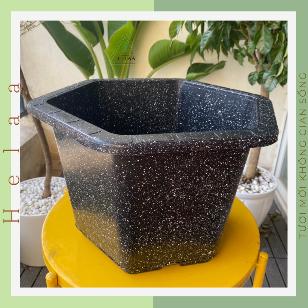 Chậu Nhựa Trồng Cây Lục Giác Đá Đen, Chậu Cây Cảnh To, Trồng Cây Hoa, Tiểu Cảnh, Bonsai Siêu Đẹp Nhiều Kích Cỡ