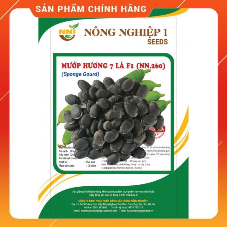 HẠT GIỐNG MƯỚP HƯƠNG 7 LÀ F1 GÓI 5 GRAM