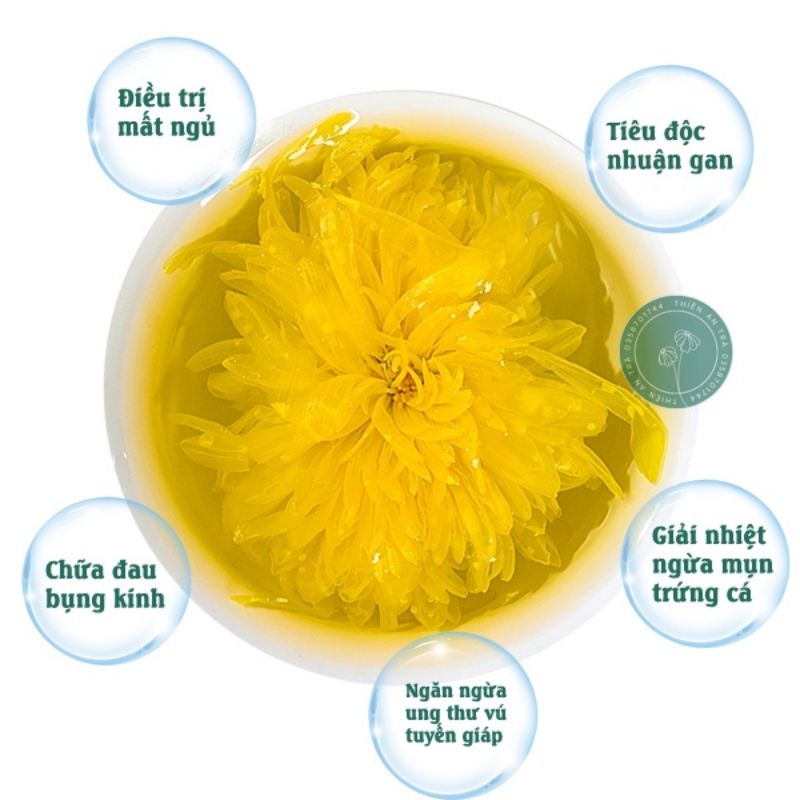 Trà Hoa cúc vàng sấy khô Đà Lạt 100gam