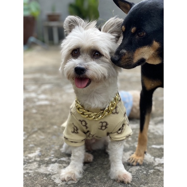 Áo nỉ cho chó mèo