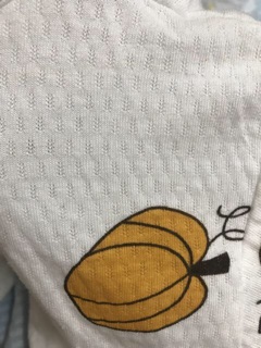 COMBO 5 BỘ COTTON THÔNG HƠI