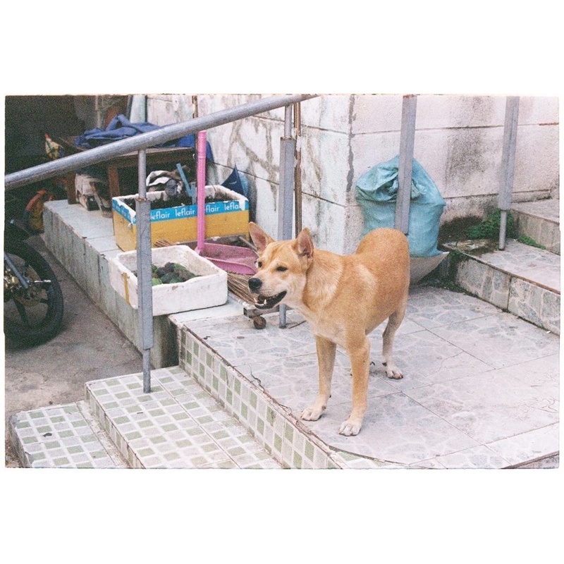 - Film 135  giá rẻ, nguyên seal, hàng US