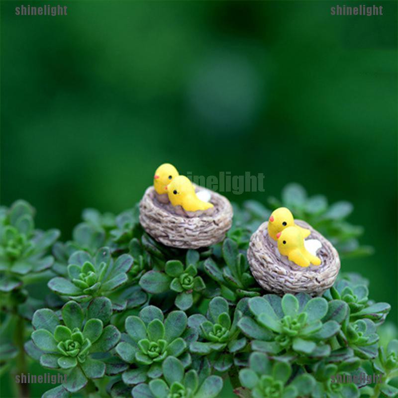 Chim Trang Trí Sân Vườn