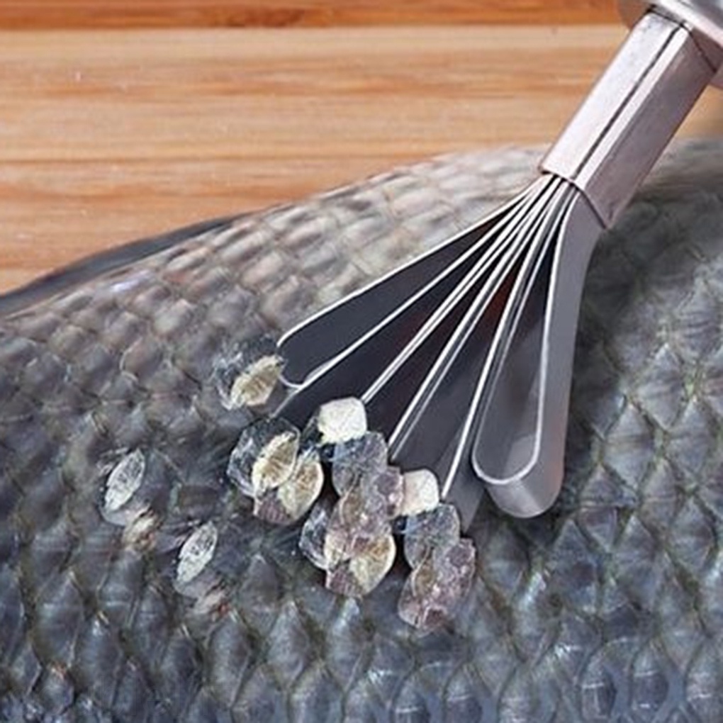 Dụng cụ cạo vảy cá bằng thép không gỉ