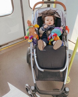Tuần lộc Lamaze