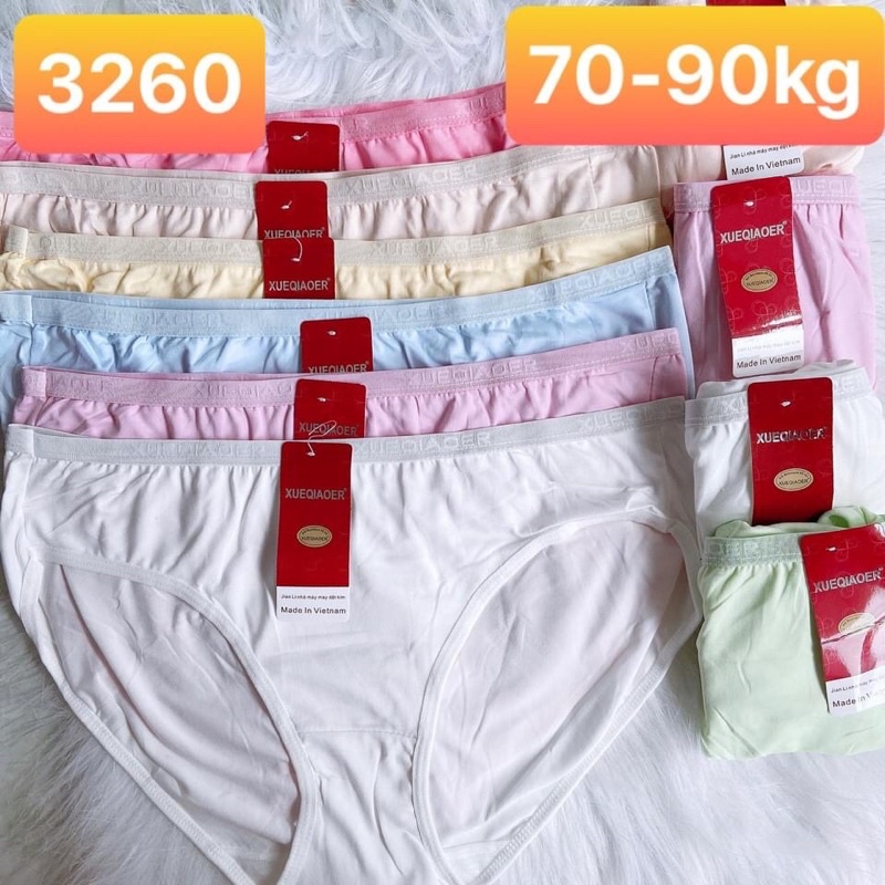 10 Quần lót nữ  Thun 100% Cotton Cao Cấp mềm mại Dệt Kim - Vòng Eo từ 70cm đến 102cm