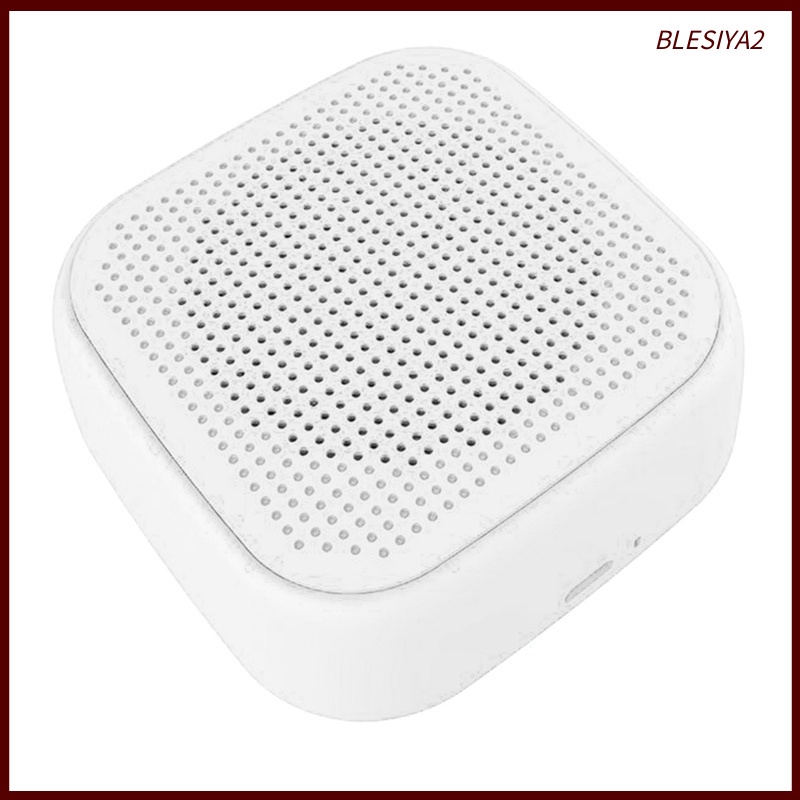 Portable Mini Bluetooth 5.0 Speaker Outdoor for Music Phone