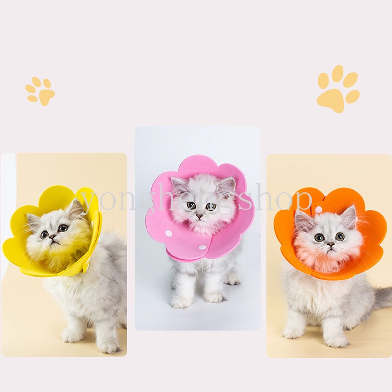 Vòng cổ chống cắn hình nón dễ thương cho thú cưng