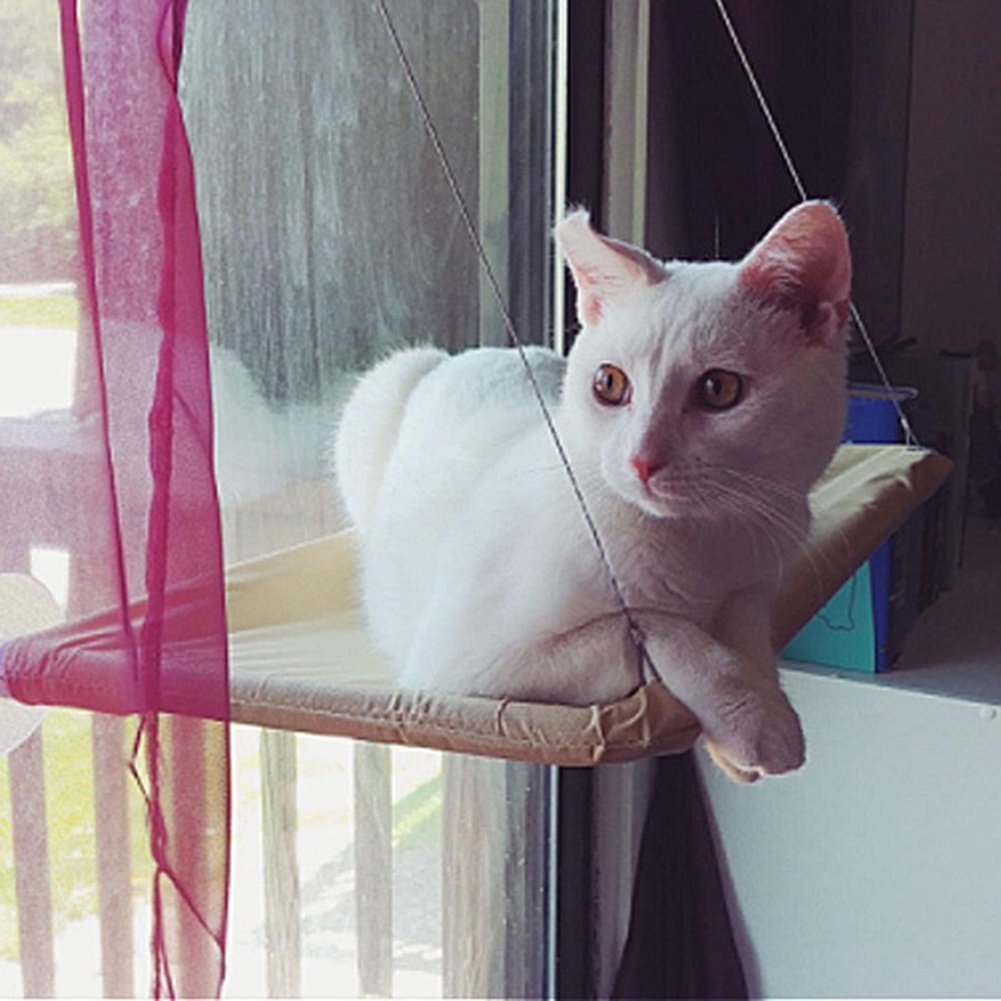 Võng Nằm Cho Thú Cưng Có Giác Hút Gắn Cửa Sổ