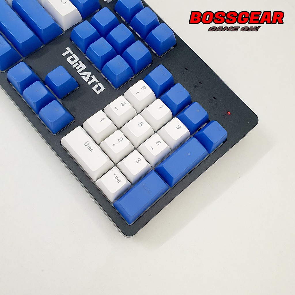 Keycap SA Blue White 108 Phím ABS Double Shot Xuyên LED ( Thick ABS, SA Profile, Ansi Layout)