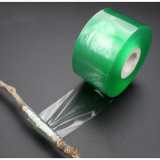 Cuộn băng keo ghép cành, chiết cành