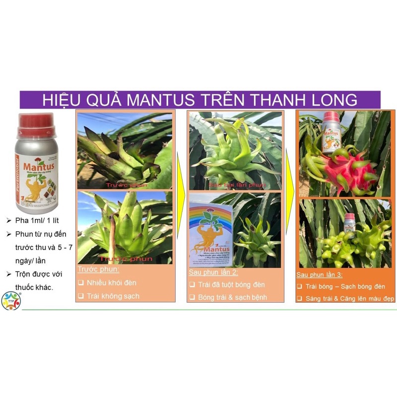 Nhân sâm cho cáy trồng Mantus chai 100ml