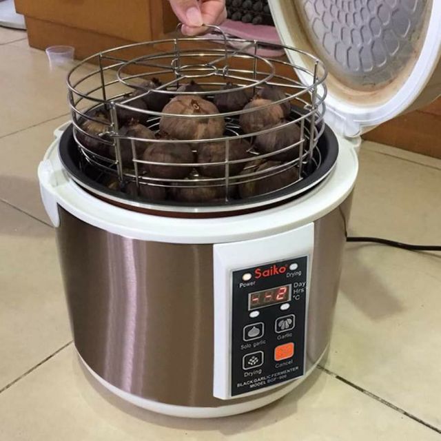 Máy Làm Tỏi Đen Saiko BGF-900