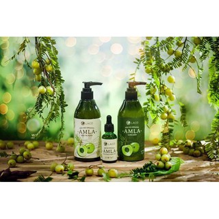 Bộ dầu gội trị rụng & kích thích mọc tóc AMLA -LACO