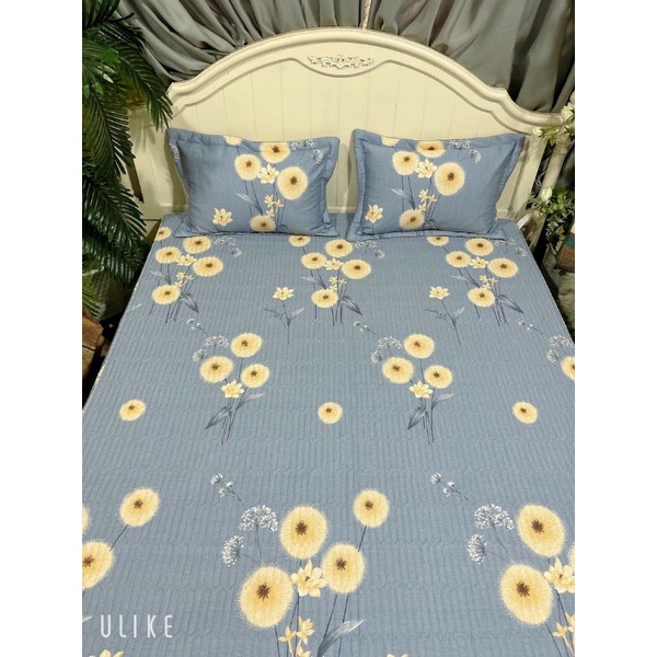 Ga gối cotton trần bông bo chun hàng loại 1- giá rẻ